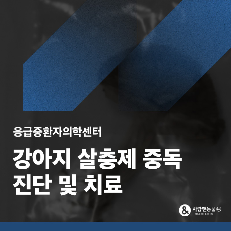 산책 중 살충제 뿌린 버섯을 먹었어요, 강아지 유기인계 살충제 중독 치료 사례