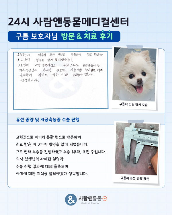 [유선종양] 구름이 보호자님의 소중한 치료 후기