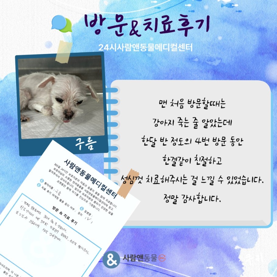[신부전] 구름이 보호자님의 소중한 치료 후기