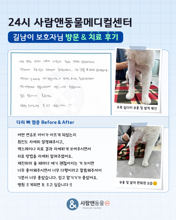[뼈 염증] 길남이 보호자님의 소중한 치료 후기