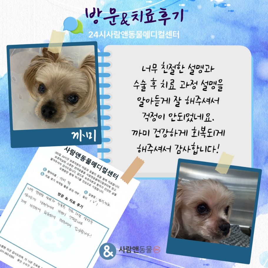 [혈뇨] 까미 보호자님의 소중한 치료 후기