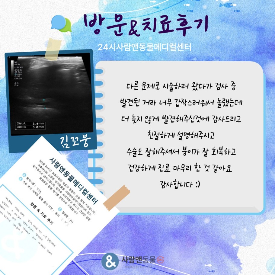 [PSS] 김꼬붕 보호자님의 소중한 치료 후기