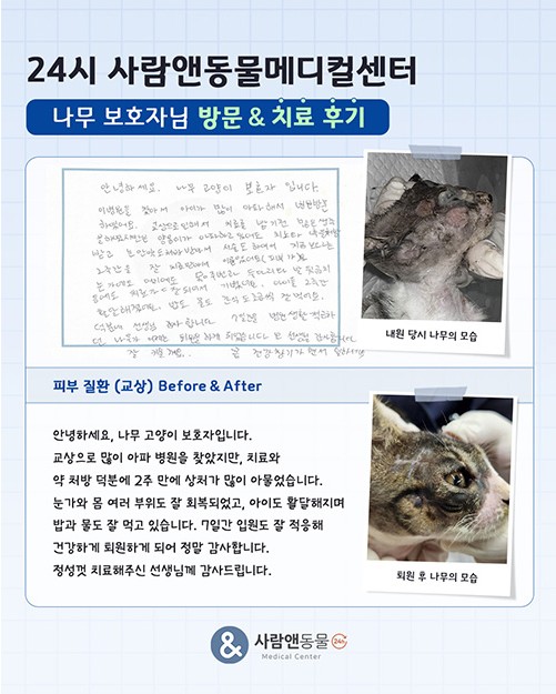 [교상] 나무 보호자님의 소중한 치료 후기