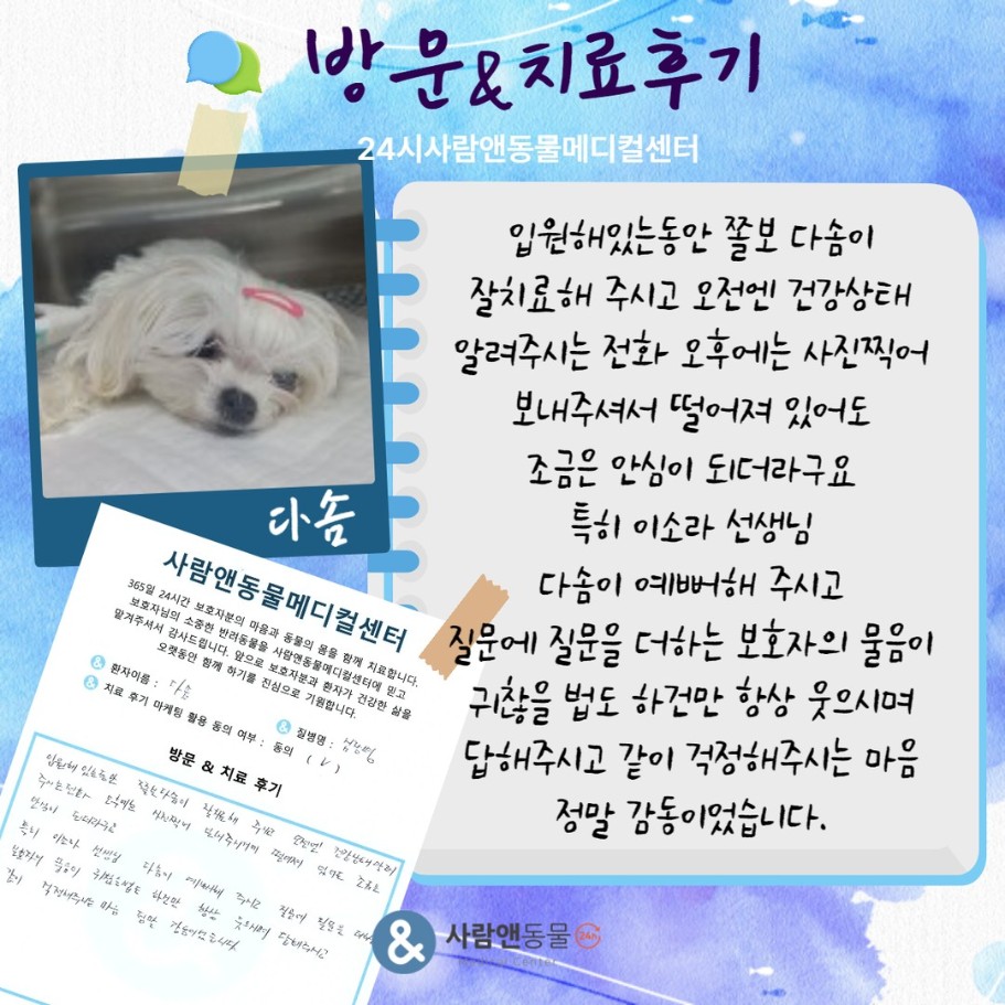 [심장병] 다솜이 보호자님의 소중한 치료 후기