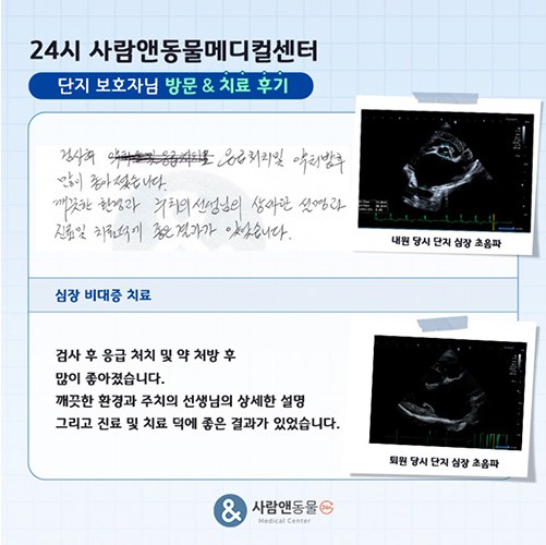 [심장비대증] 단지 보호자님의 소중한 치료 후기
