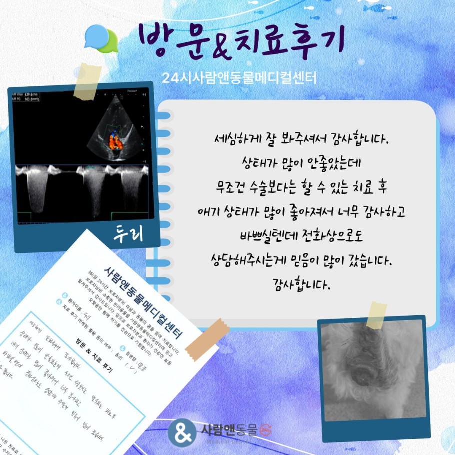 [탈장] 두리 보호자님의 소중한 치료 후기
