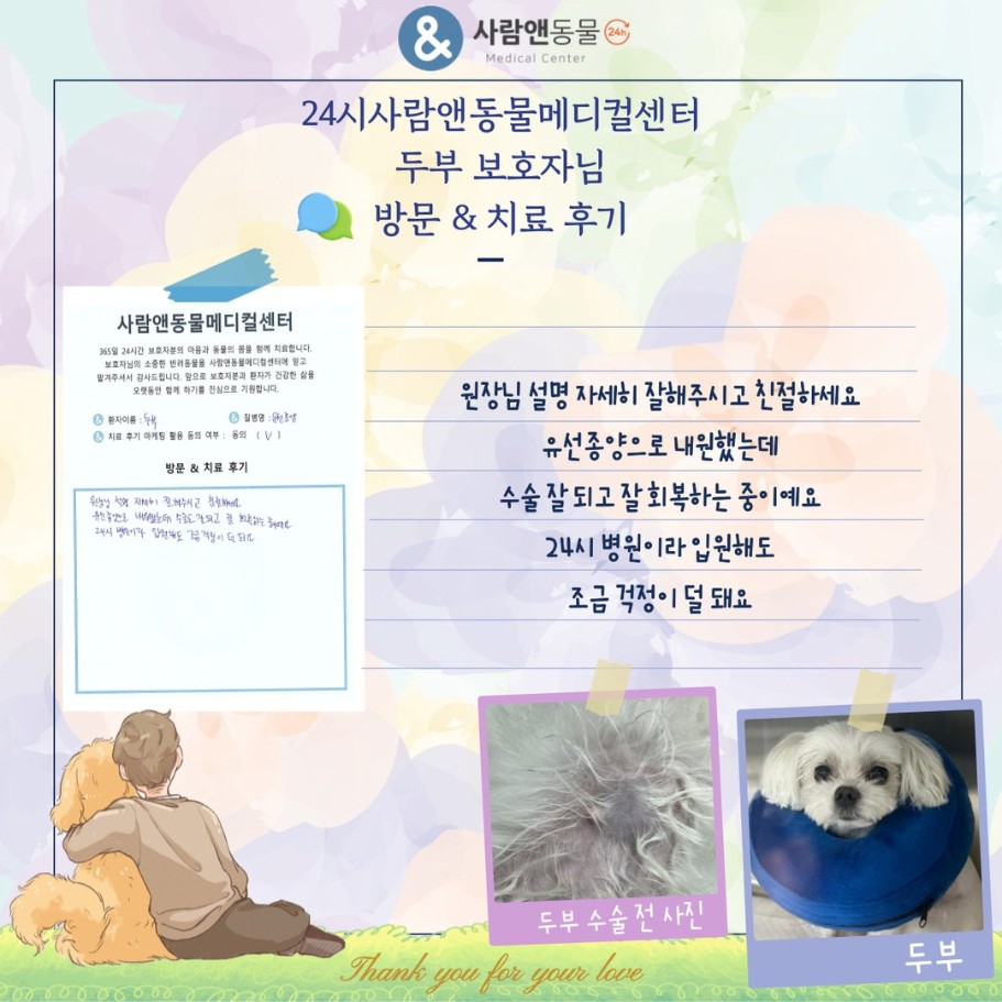 [유선종양] 두부 보호자님의 소중한 치료 후기