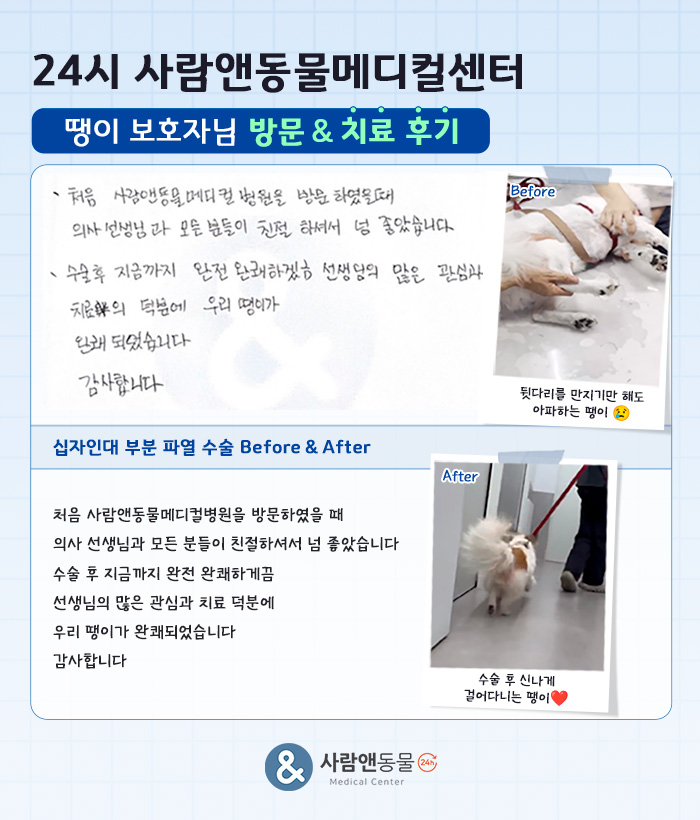 [십자인대단열] 땡이 보호자님의 소중한 치료 후기