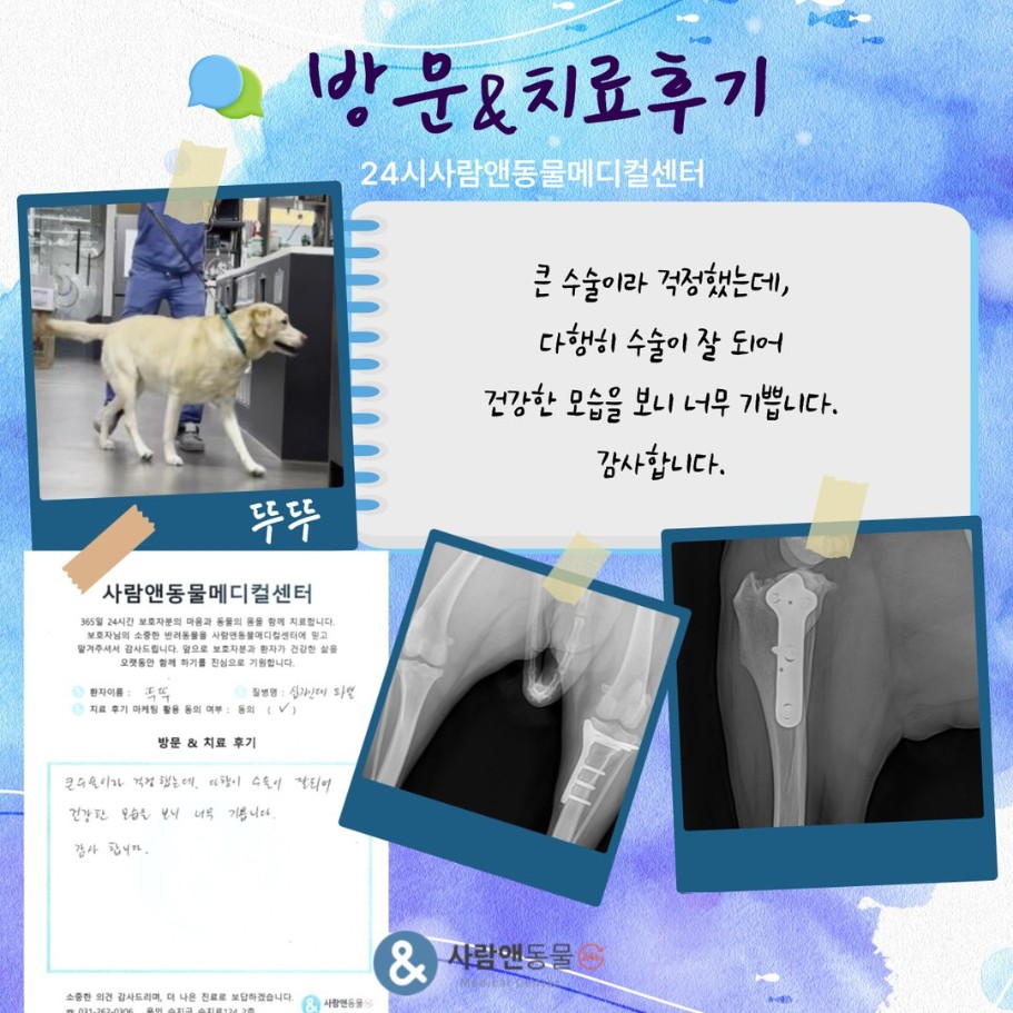 [후지파행] 뚜뚜 보호자님의 소중한 치료 후기