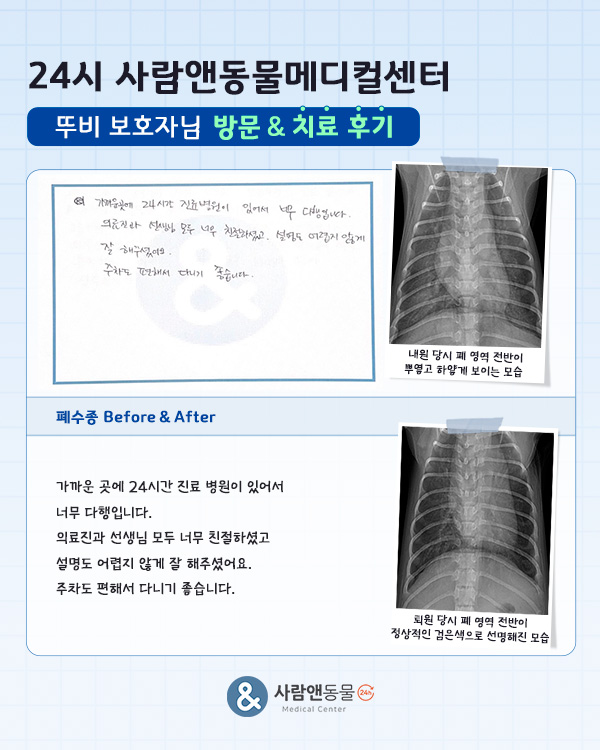 [폐수종] 뚜비 보호자님의 소중한 치료 후기