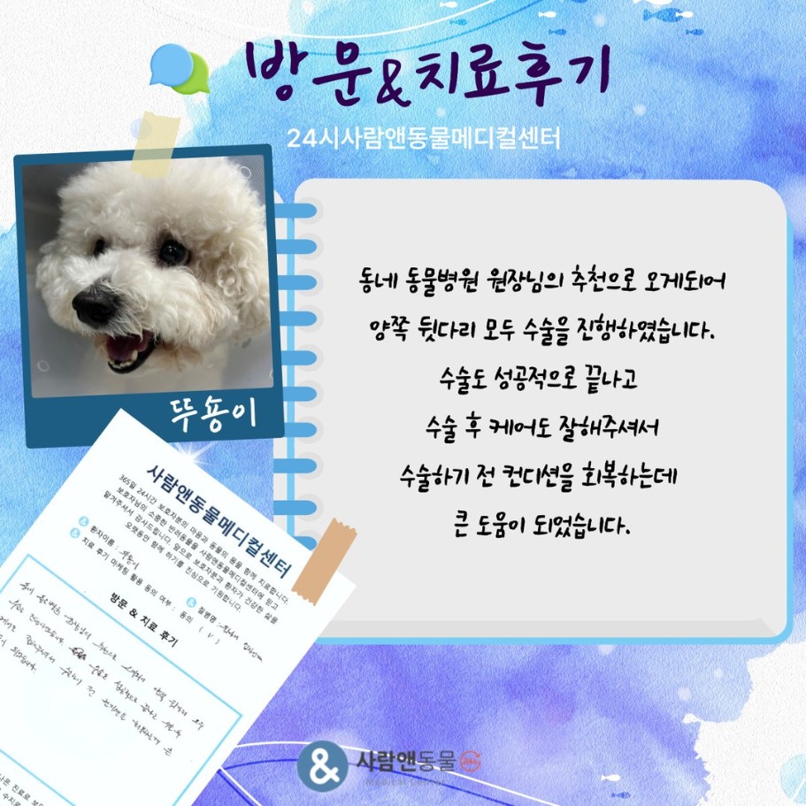 [후지파행] 뚜숑이 보호자님의 소중한 치료 후기