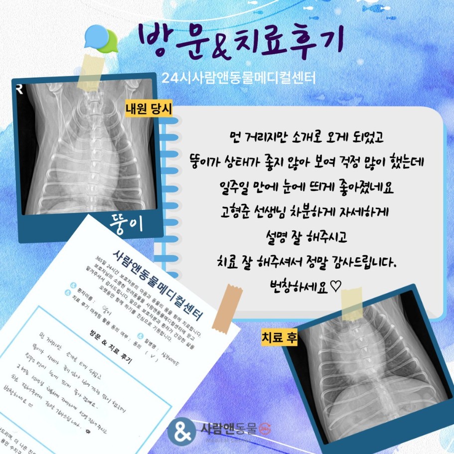[심장비대증] 뚱이 보호자님의 소중한 치료 후기