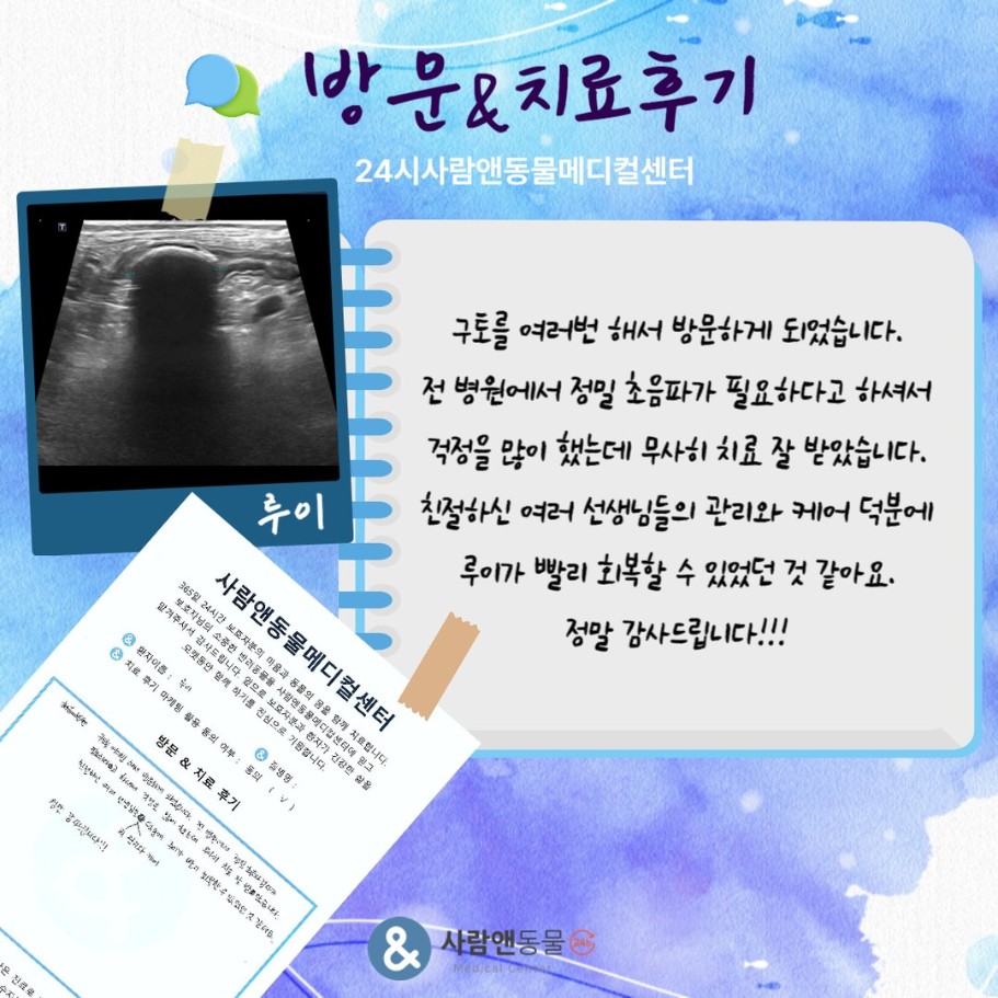 [이물제거] 루이 보호자님의 소중한 치료 후기