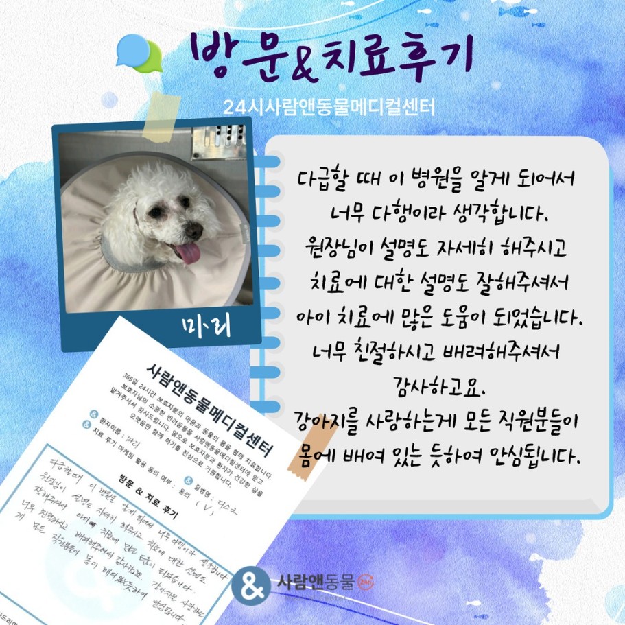 [디스크] 마리 보호자님의 소중한 치료 후기