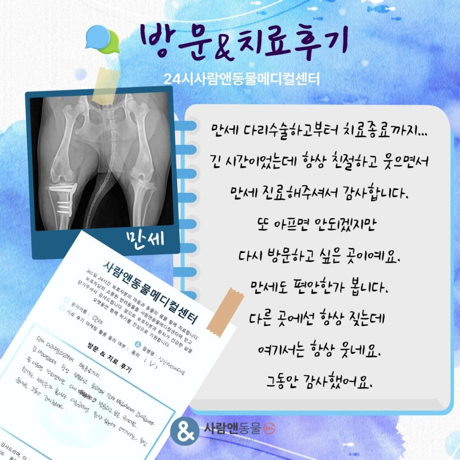 [십자인대파열] 만세 보호자님의 소중한 치료 후기