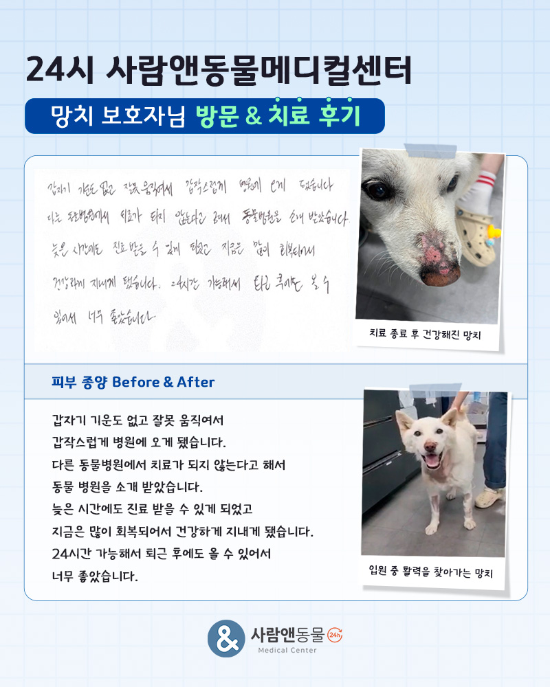 [피부종양] 망치 보호자님의 소중한 치료 후기