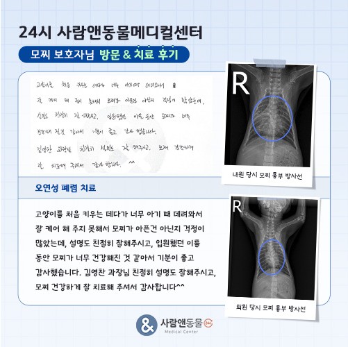 [오연성폐렴] 모찌 보호자님의 소중한 치료 후기