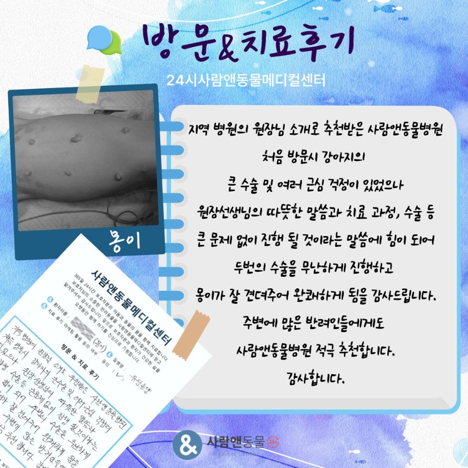 [유선종양] 몽이 보호자님의 소중한 치료 후기