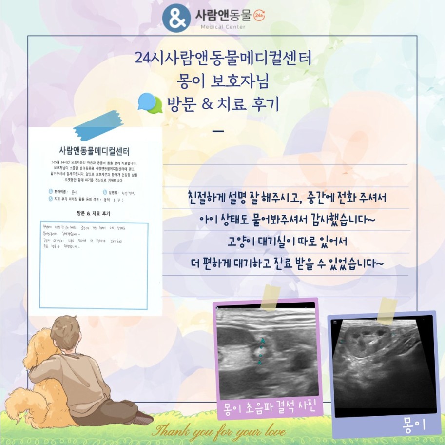 [신장결석] 몽이 보호자님의 소중한 치료 후기