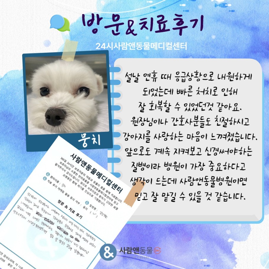 [심장병] 뭉치 보호자님의 소중한 치료 후기