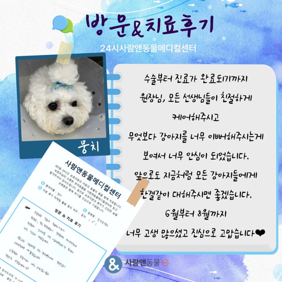 [슬개골탈구] 뭉치 보호자님의 소중한 치료 후기