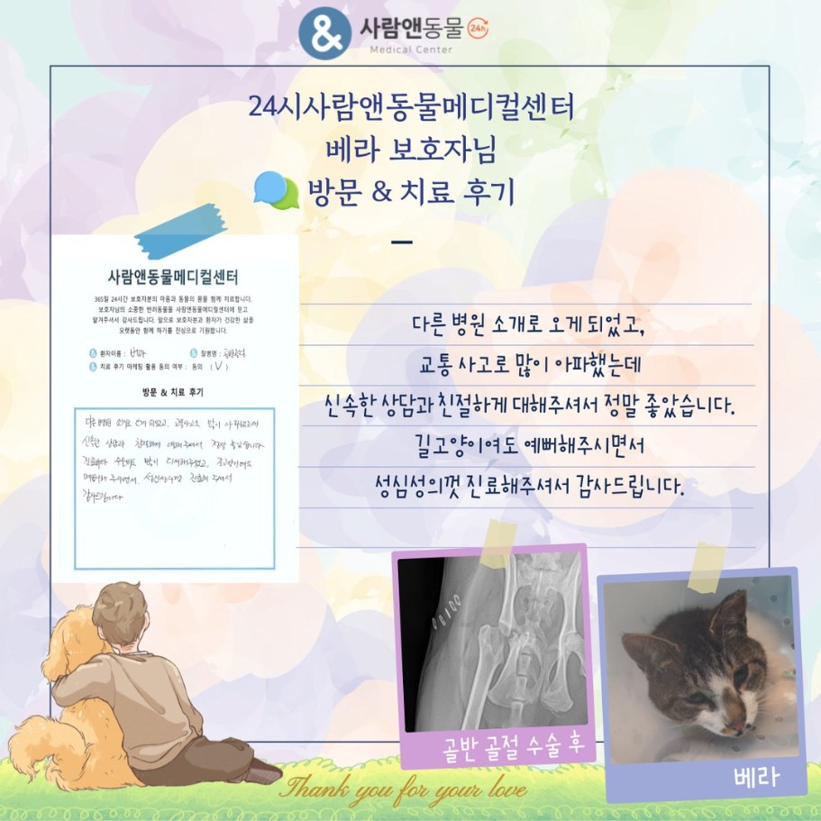 [골반골절] 베라 보호자님의 소중한 치료 후기