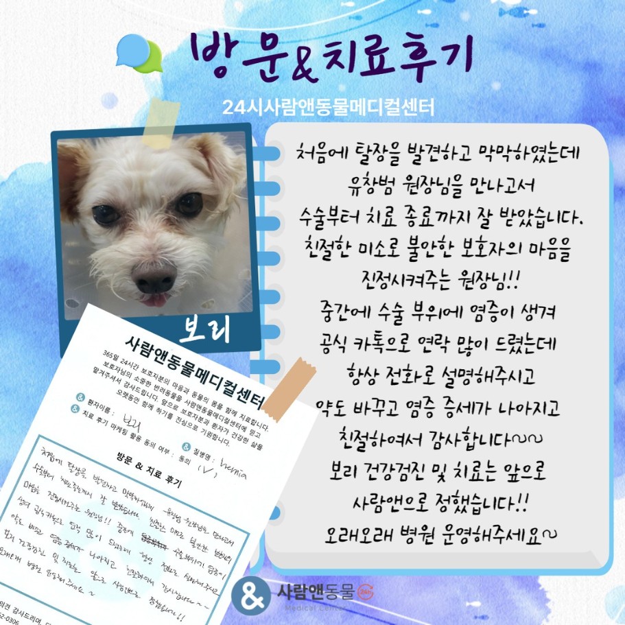 [탈장] 보리 보호자님의 소중한 치료 후기