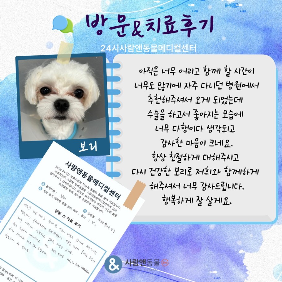 [슬개골탈구] 보리 보호자님의 소중한 치료 후기