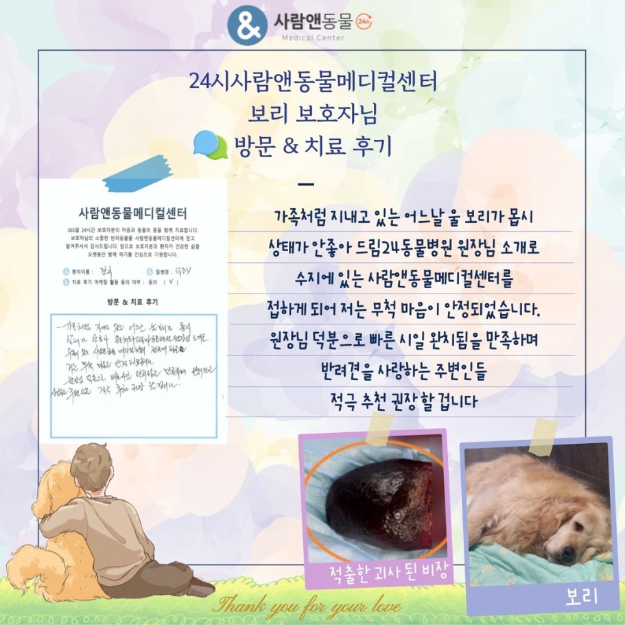 [위염전] 보리 보호자님의 소중한 치료 후기