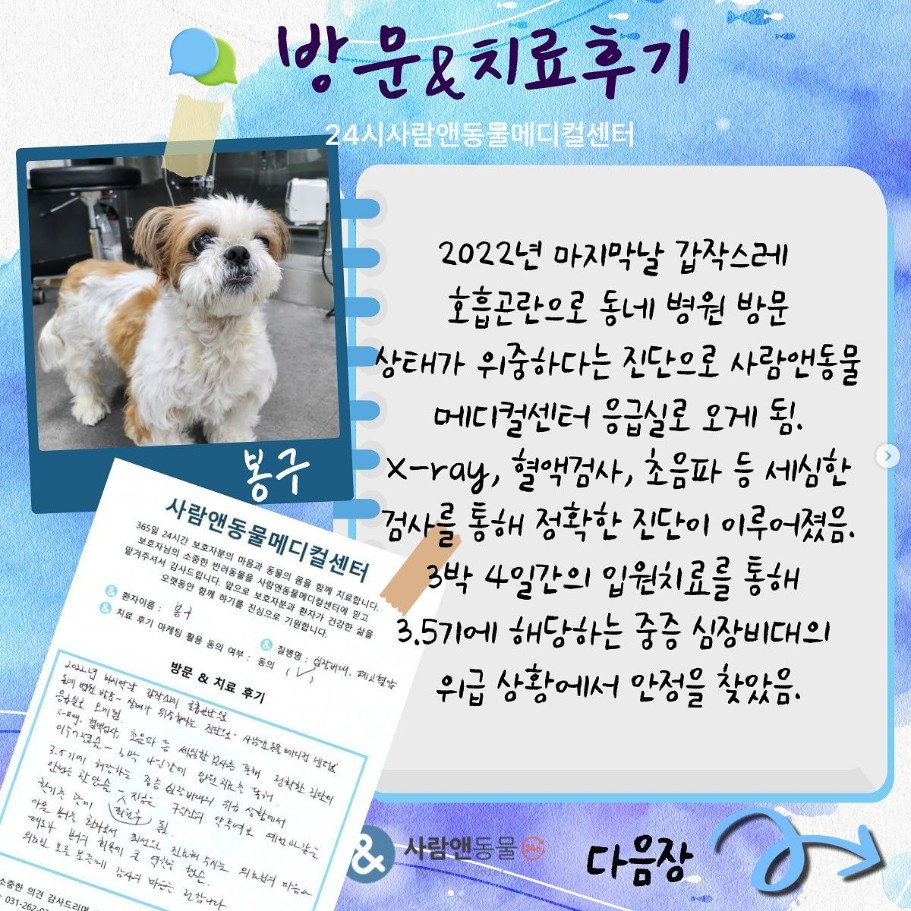 [심장비대 및 고혈압] 봉구 보호자님의 소중한 치료 후기