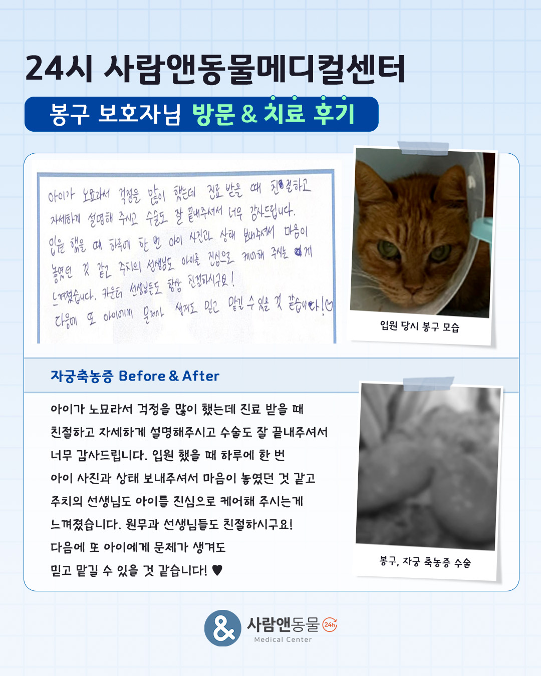 [자궁축농증] 봉구 보호자님의 소중한 치료 후기