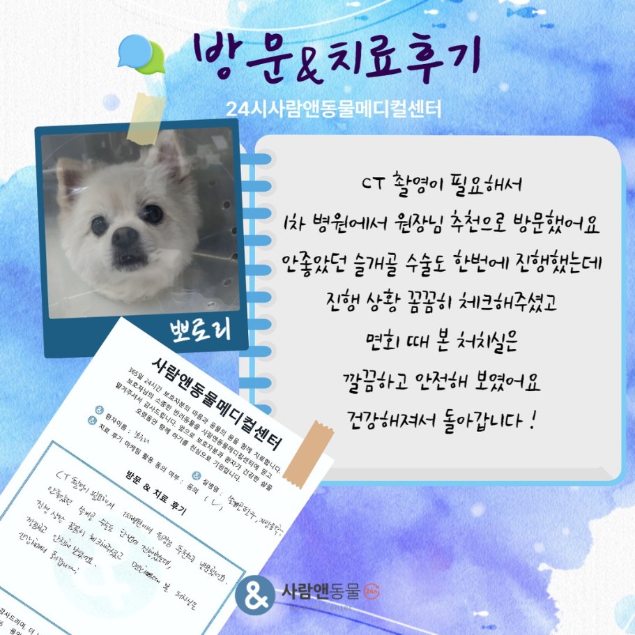 [슬개골탈구] 뽀로리 보호자님의 소중한 치료 후기