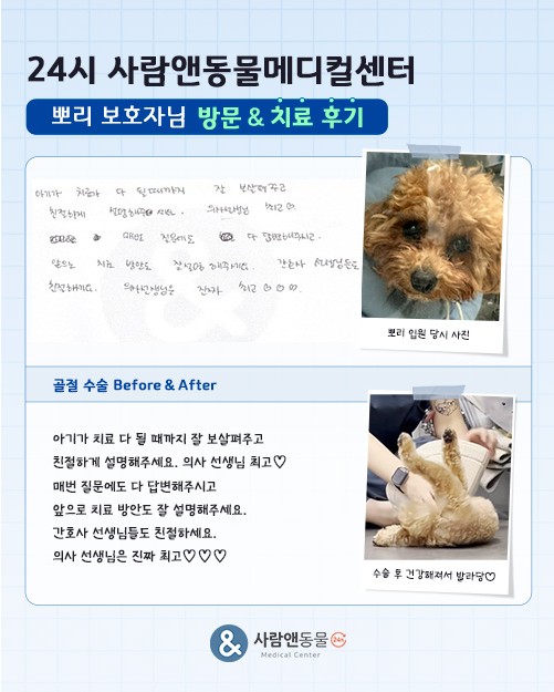 [골절] 뽀리 보호자님의 소중한 치료 후기