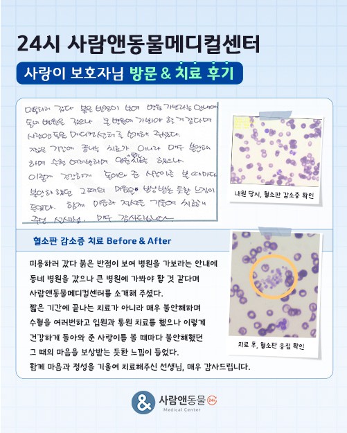 [혈소판 감소증] 사랑이 보호자님의 소중한 치료 후기
