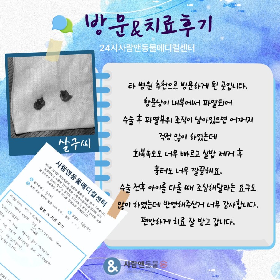 [항문낭파열] 살구씨 보호자님의 소중한 치료 후기