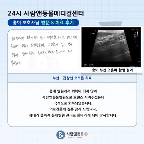 [부신/갑상선호르몬] 송이 보호자님의 소중한 치료 후기