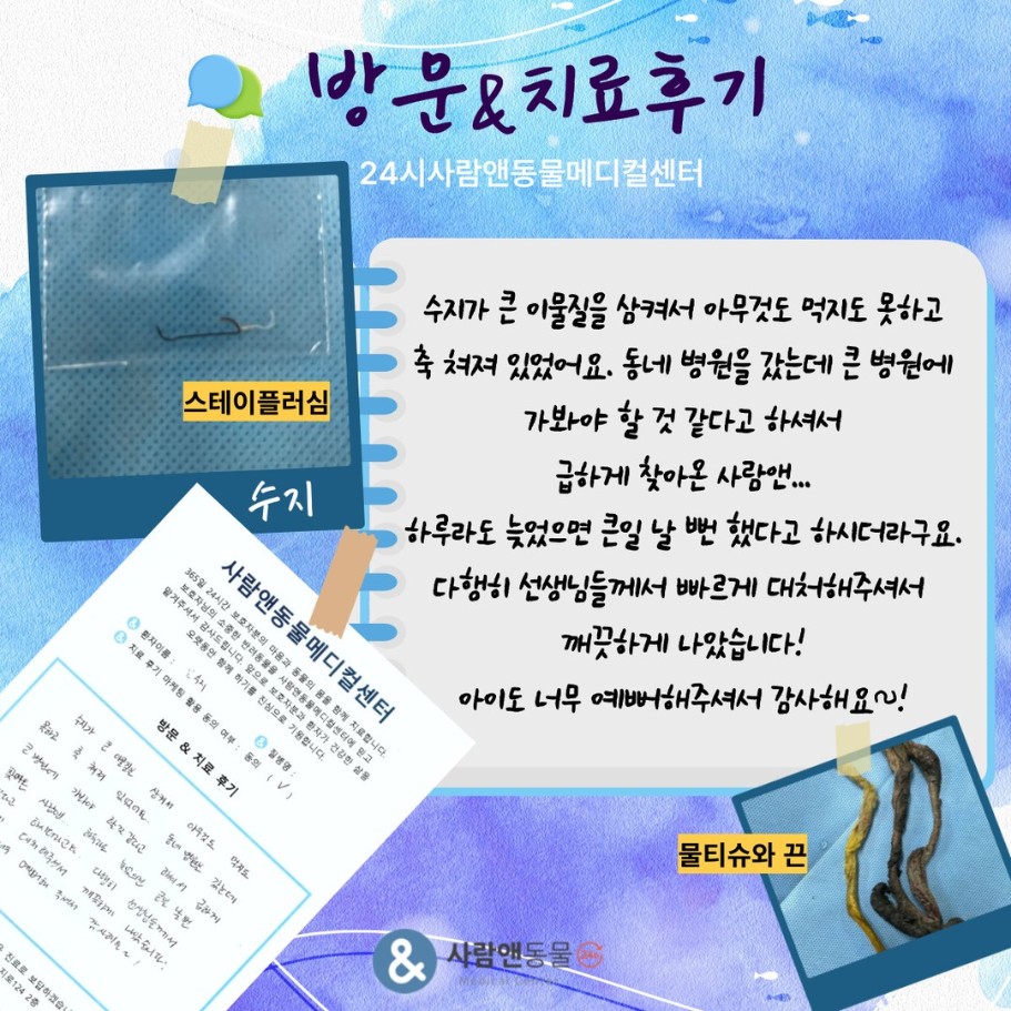 [이물섭취] 수지 보호자님의 소중한 치료 후기