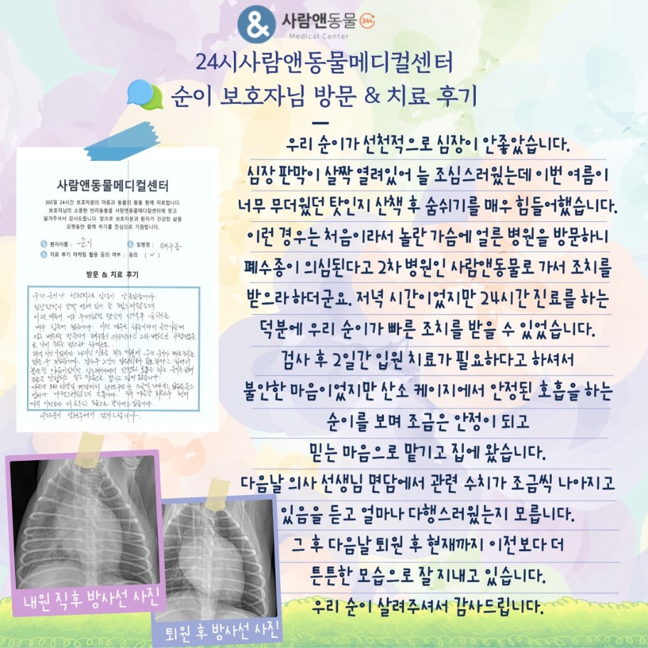 [폐수종] 순이 보호자님의 소중한 치료 후기