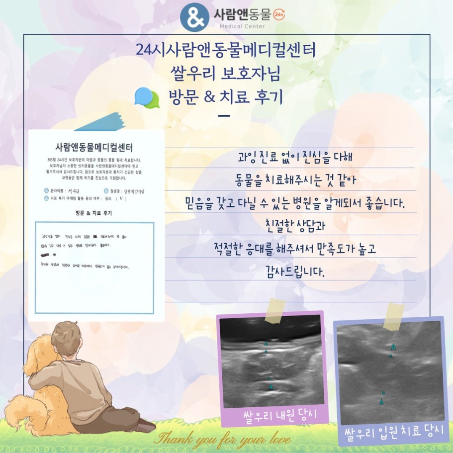[담관간염] 쌀우리 보호자님의 소중한 치료 후기