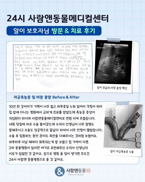 [자궁축농증] 알이 보호자님의 소중한 치료 후기