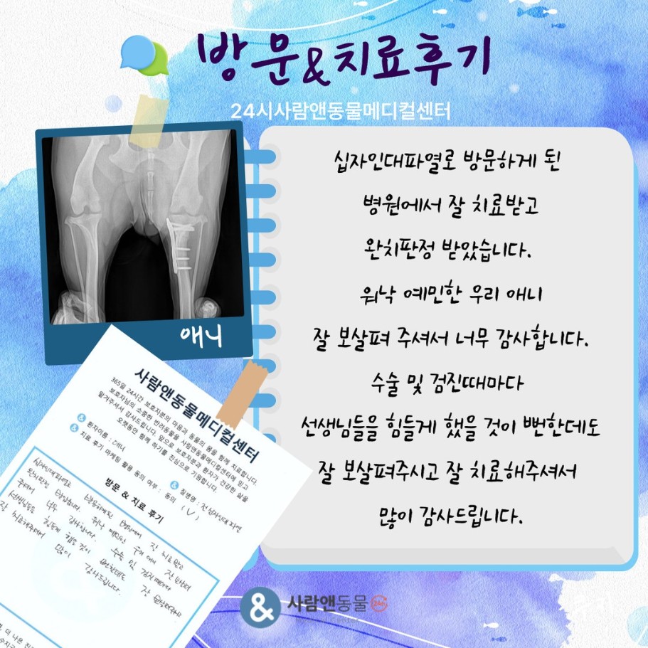 [십자인대파열] 애니 보호자님의 소중한 치료 후기