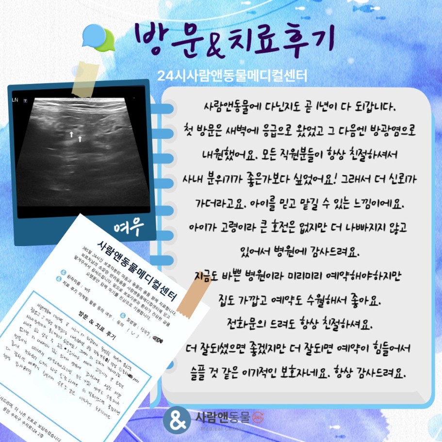 [방광염] 여우 보호자님의 소중한 치료 후기