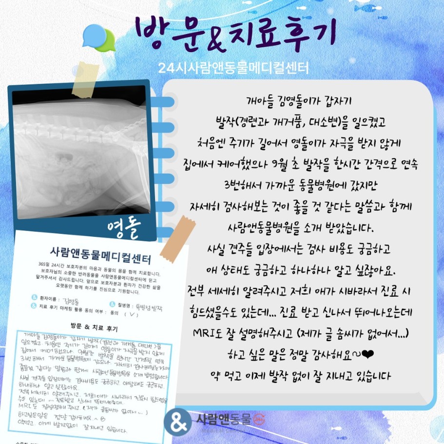 [특발성 발작] 영돌이 보호자님의 소중한 치료 후기