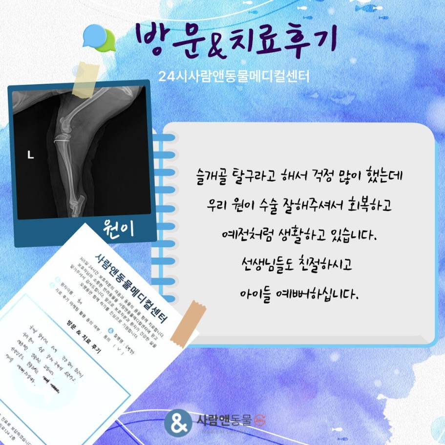 [슬개골탈구] 원이 보호자님의 소중한 치료 후기