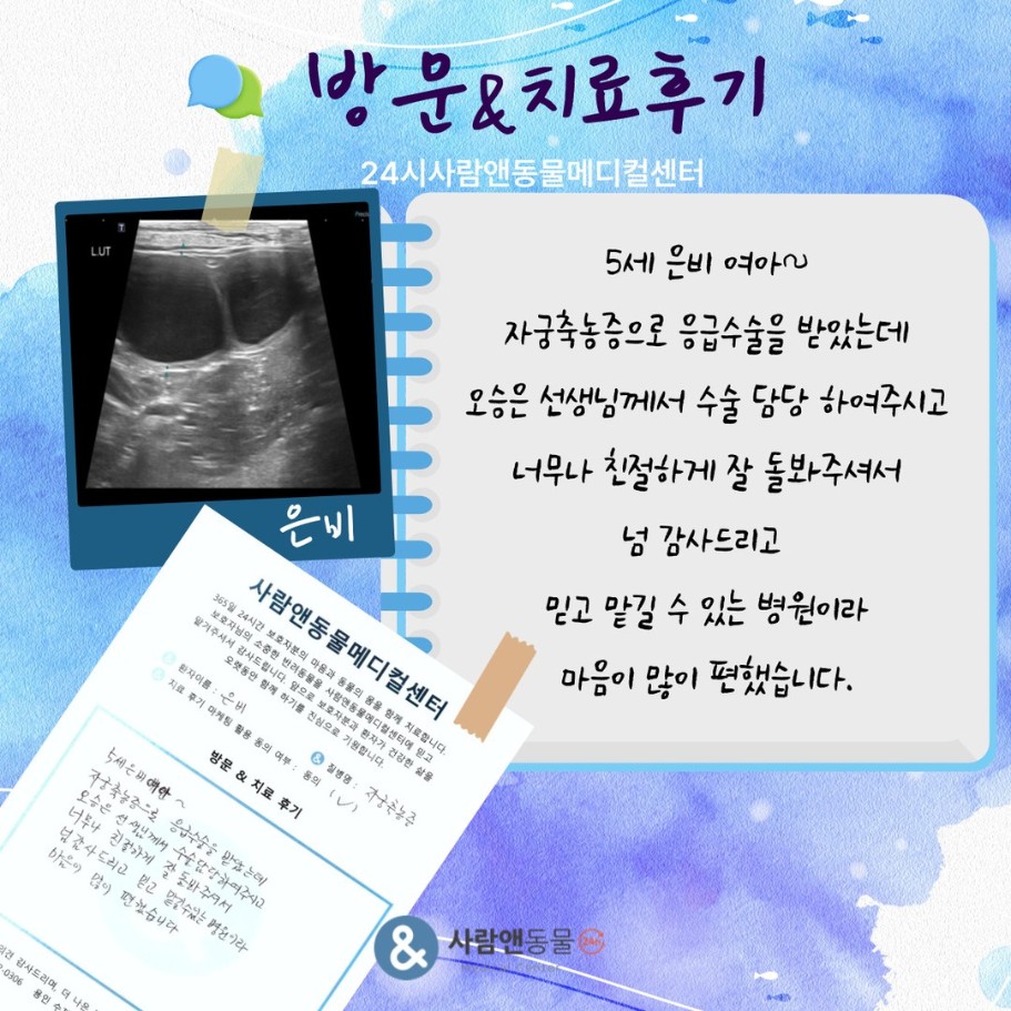 [자궁축농증] 은비 보호자님의 소중한 치료 후기