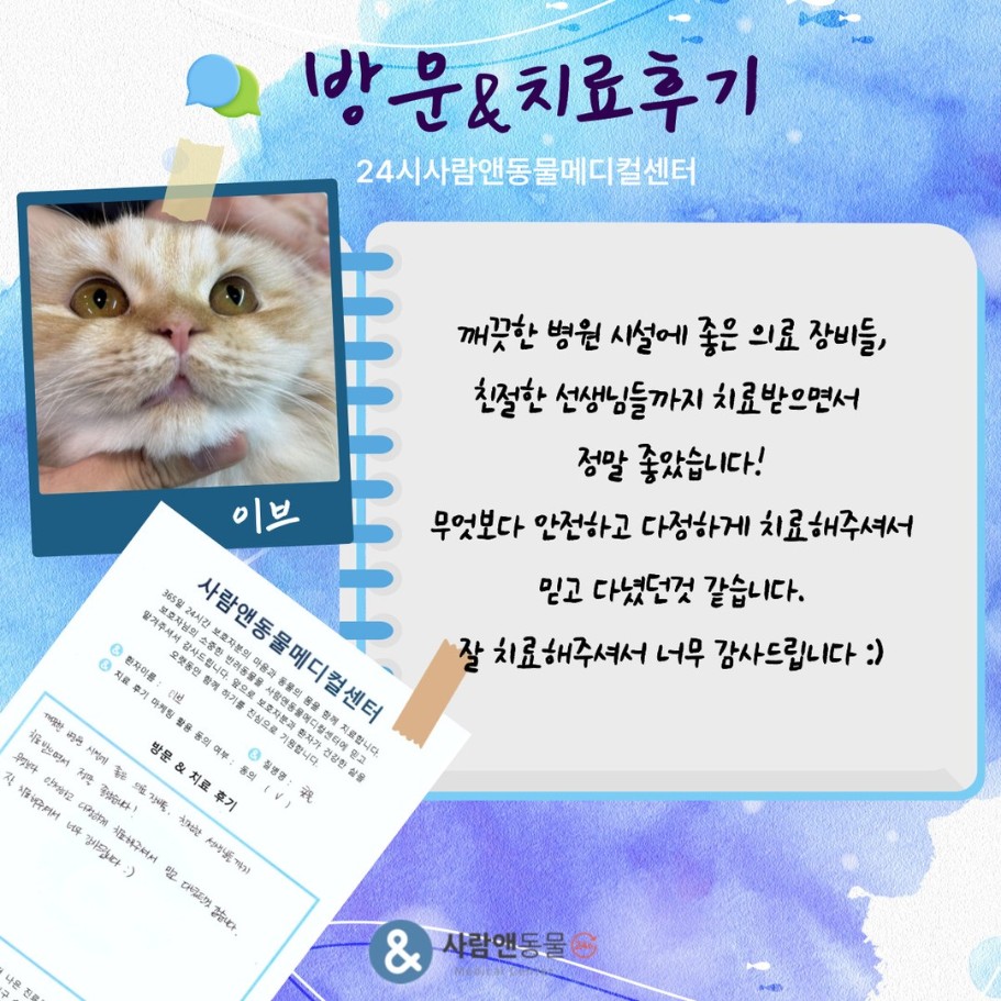 [내시경 비강세척] 이브 보호자님의 소중한 치료 후기