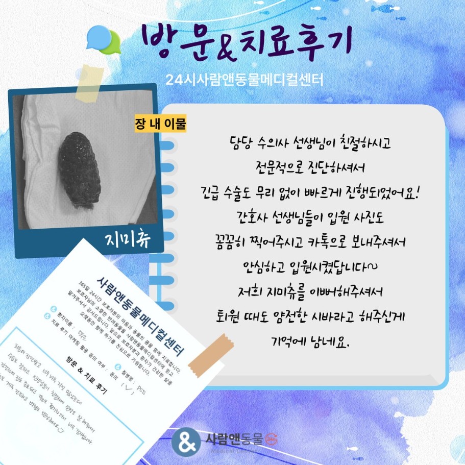 [장 내 이물] 지미츄 보호자님의 소중한 치료 후기