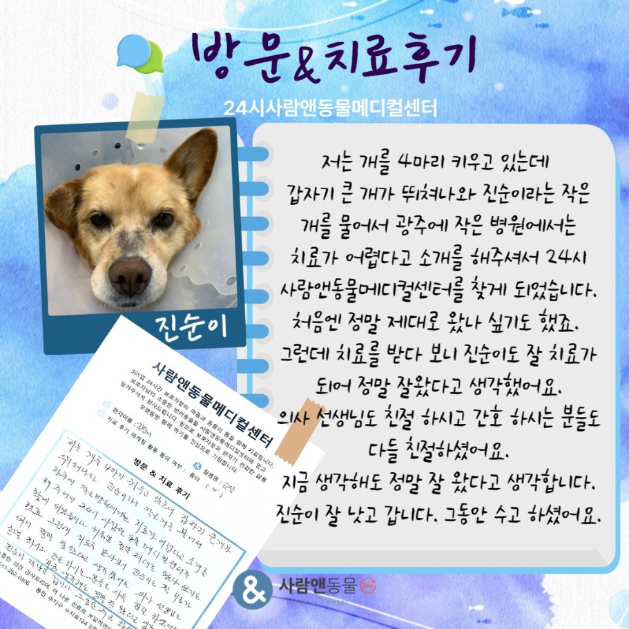 [교상] 진순이 보호자님의 소중한 치료 후기