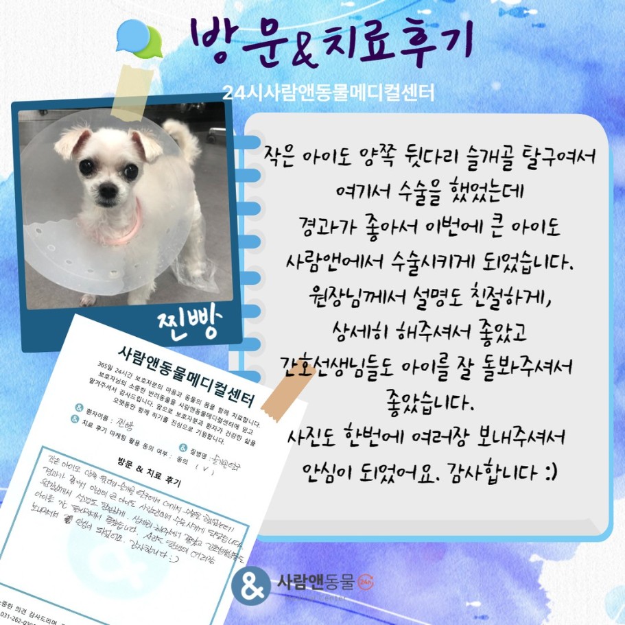 [슬개골탈구] 찐빵 보호자님의 소중한 치료 후기