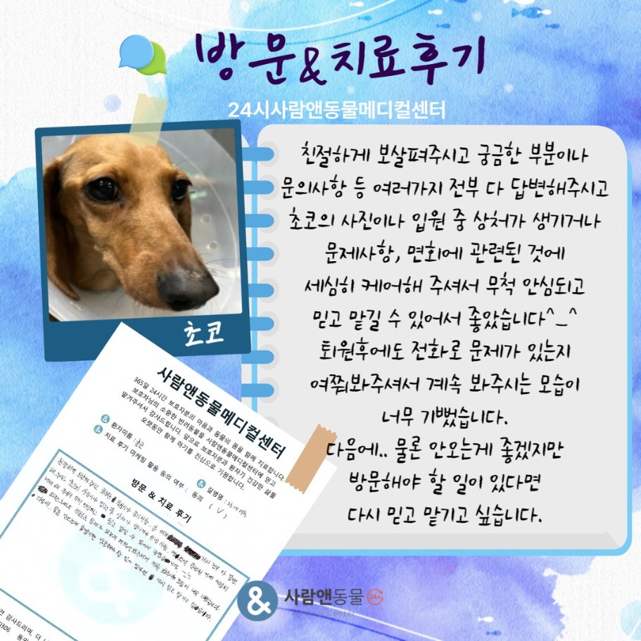 [장내이물] 초코 보호자님의 소중한 치료 후기